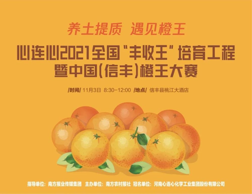 中国脐橙之王是谁(中国脐橙之王是谁图片)