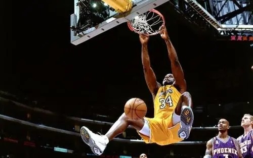 鲨鱼大小排行_大鲨鱼晒NBA历史中锋排行榜,他认可自己排名第四