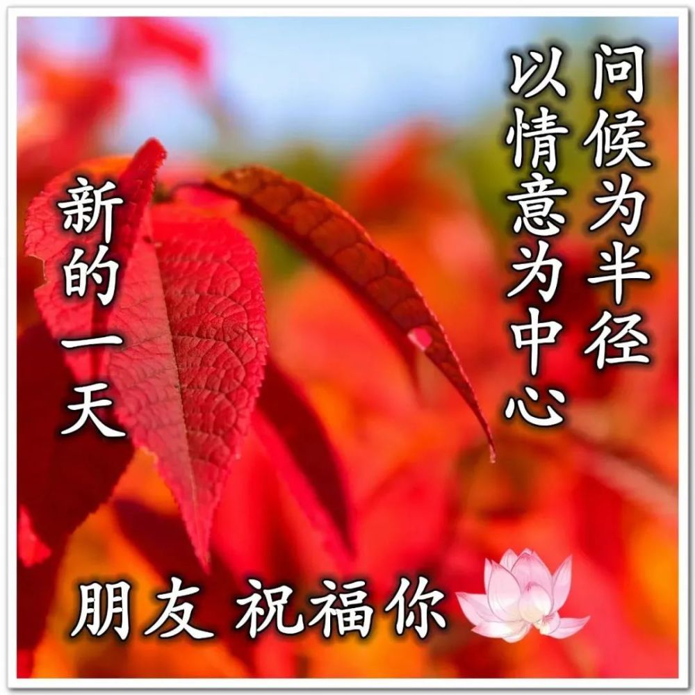 朋友圈問候大家早安祝福語圖片早晨好唯美暖心祝福問候句子