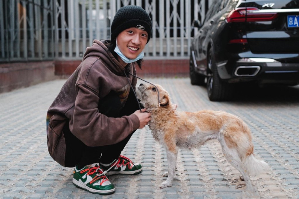 从高圆圆到孟美岐，女神为爱走钢丝，为何偏爱其貌不扬的花心音乐人？