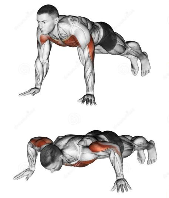 健哥说心脏有声版|世界男性健康日|男人越强壮,心脏越健康!