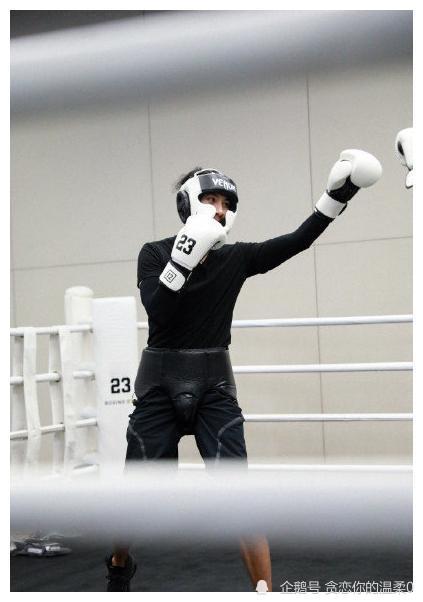 拳力以赴的我们向佐嚣张上场结果被对手暴打网友就这