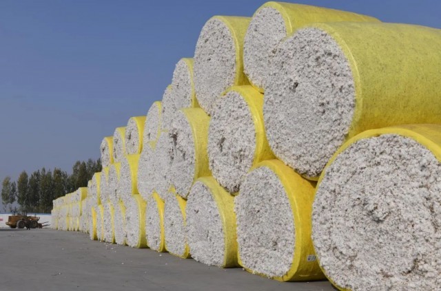 新疆棉来啦画面极度舒适