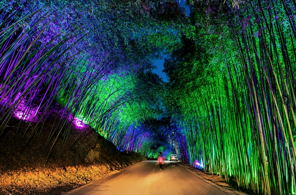 首批“国字号”！重渡沟景区入选夜间文化和旅游消费集聚区名单