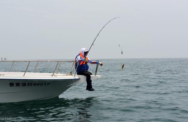 深海船钓钓上来的鱼为什么要马上放血?