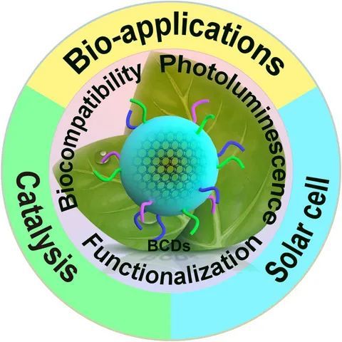 yangbiomass‐derived carbon dots and their applications.