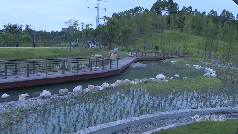 作為內江市新建成的城市公園,壽溪河溼地公園綠植青蔥,流水潺潺,成為