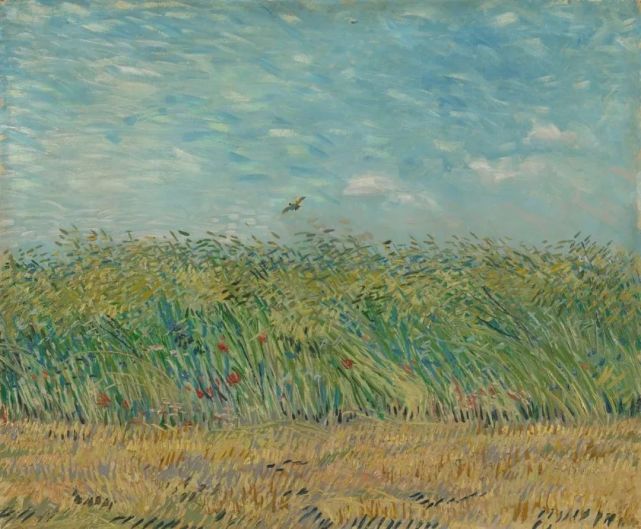 麦田|奥维尔绿色的麦田|梵高博物馆|梵高