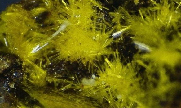 可怕的"金属铀",50毫克就可致命,但我们却每天都在吃