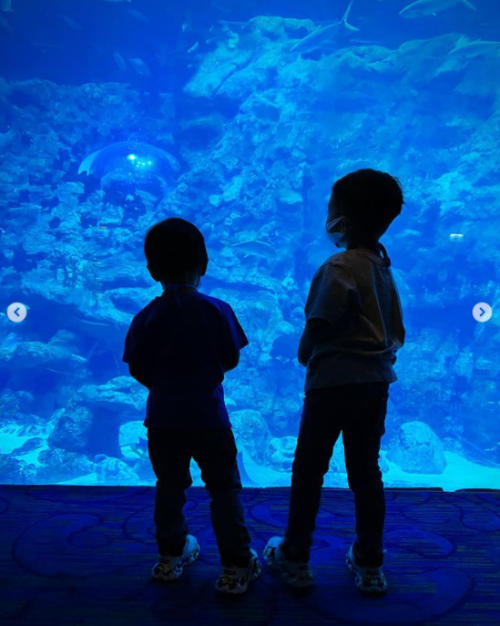 胡杏儿带儿子去海洋馆四口之家拉手背影照温馨奕霆仔钻龟壳超萌