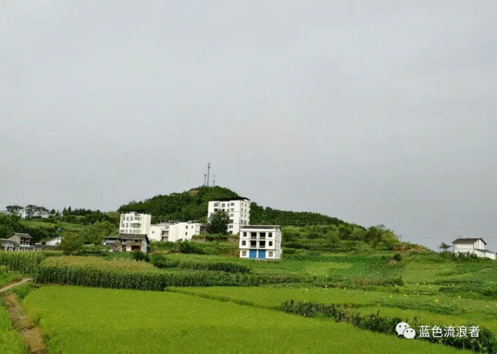 四川人推崇備至的縣是中國長壽之鄉境內小眾景點頗受歡迎