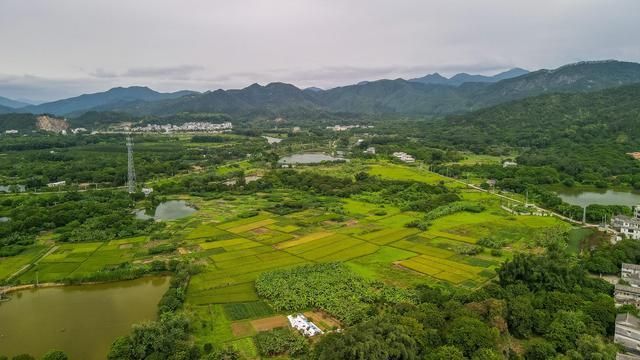 寻找潮州乡村最美画卷,狮峰村,原生态青山绿水的好去处