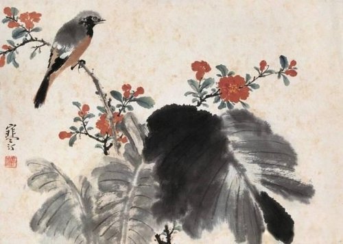 寒汀先生的画作:江寒汀画鸟清丽温静,尤多写生,后学之士,翕然成风
