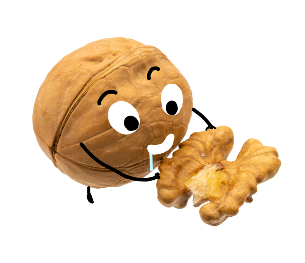 哪些食物最"补脑"?别只知道让孩子吃核桃,其实还有