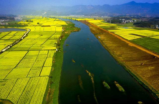 黄石阳新县富河流域补短板工程让四万亩良田变身靓丽旅游景观