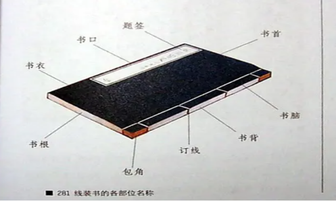 古人的书和旋风蝴蝶又有什么关系独特名称背后是中国人的浪漫