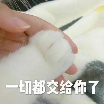 表情包:本人已封心锁爱