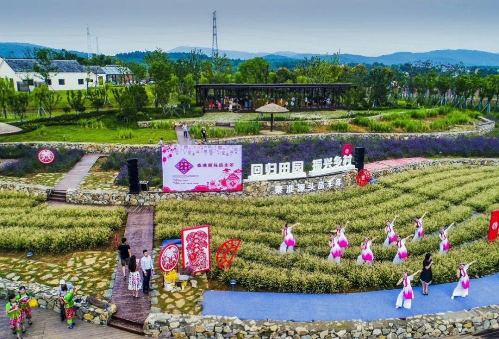 南京旅游 出发 火遍南京的粉黛花海归来 这里竟藏着一个粉红色的秋天 腾讯新闻