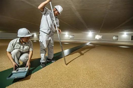 深度关注丨粮库除蛀