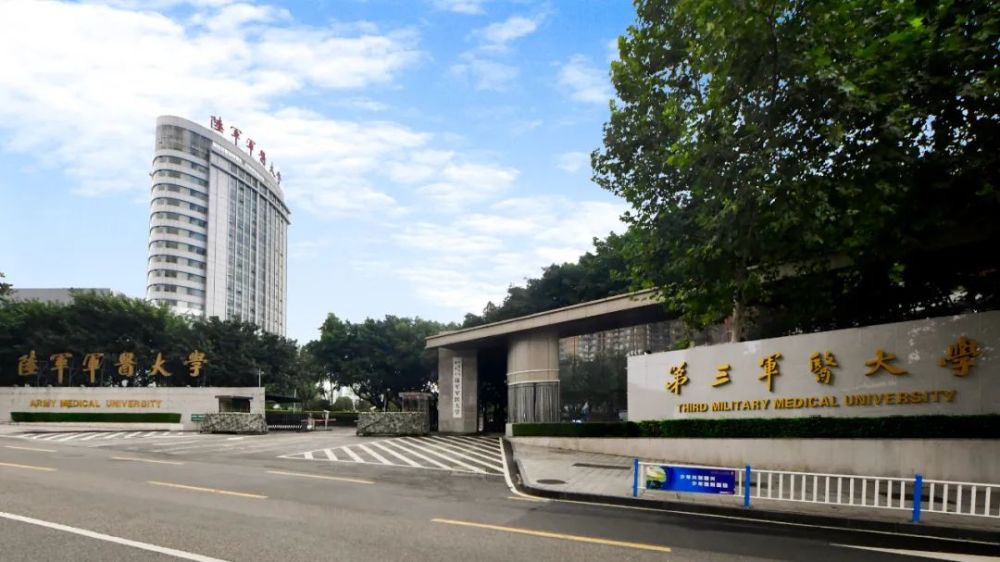 陆军军医大学2022年面向社会公开招考文职人员岗位计划发布