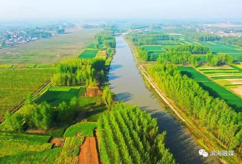 滨海如何高水平建设黄河故道生态富民廊道