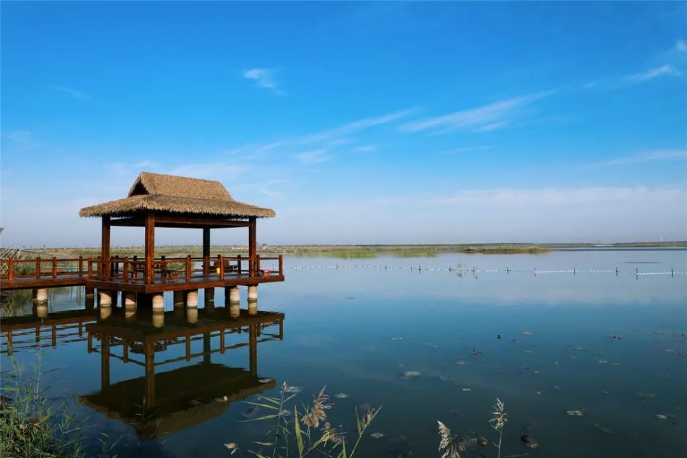 颜值巅峰绿屏八里湾高清彩照来袭快来合影