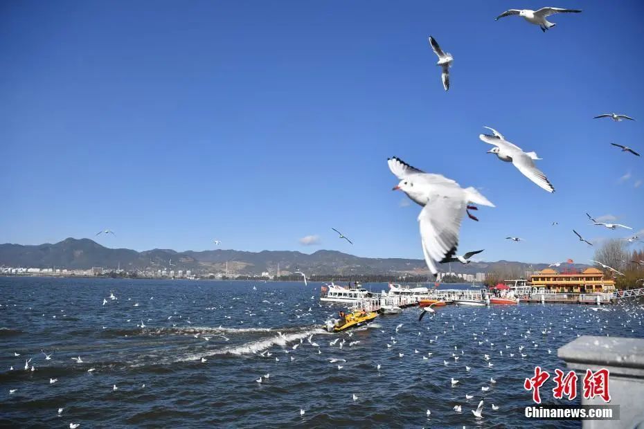 除由市文旅局负责对建设项目是否属生态文化,旅游项目进行界定,市滇池