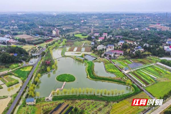 "水清,岸绿,景美,人欢" 长沙县车马村小微水体示范区已初步验收