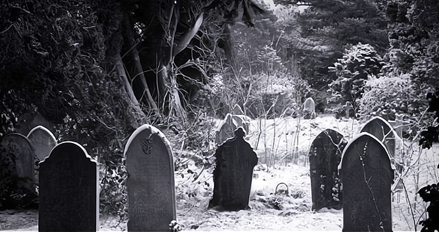 聊斋书生买来一本道法书籍能够驱使鬼神实验结果如何