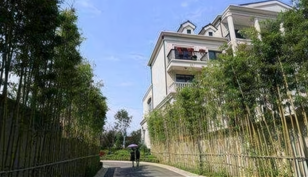 每平方78万元苏炳添豪宅价格引网友关注有钱人才能买得起