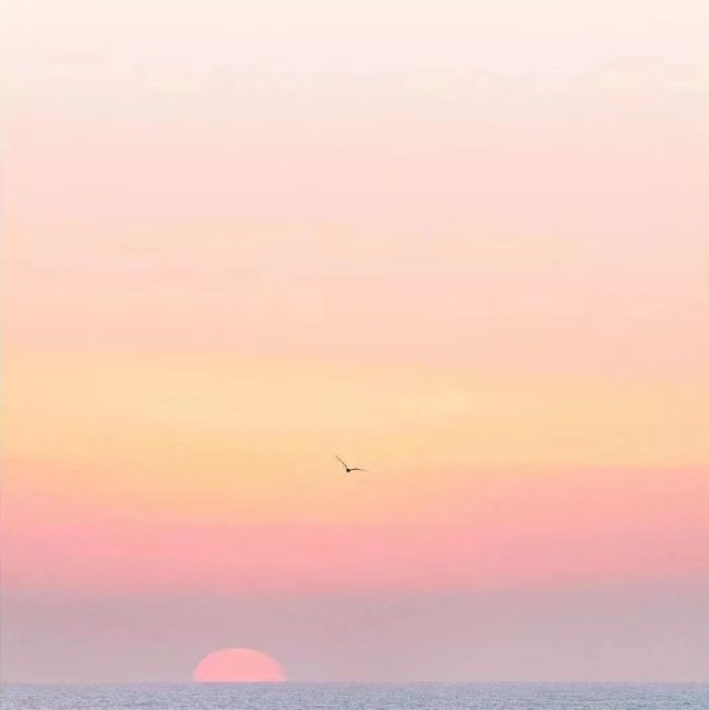 2021治愈系温暖句子,阳光好心态,开启美好的一天