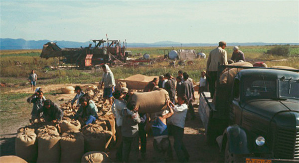 1960年,湖南一小伙在火车站卖烟被捕,审讯后才知是许光达的家人_腾讯