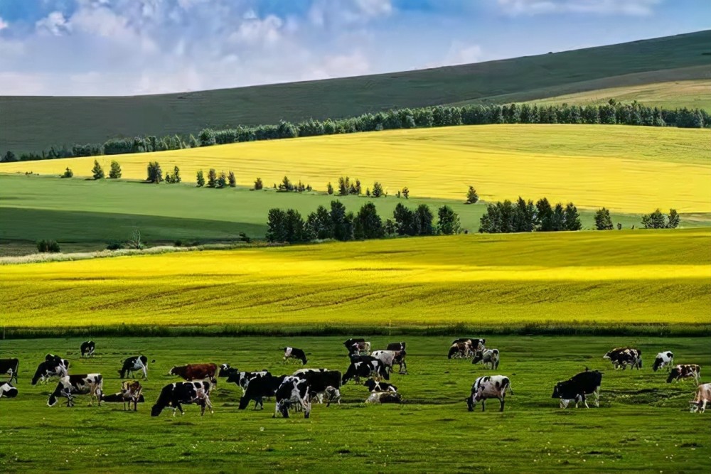的放牧管理制度对实现草原生态系统服务与家畜生产的有机结合至关重要