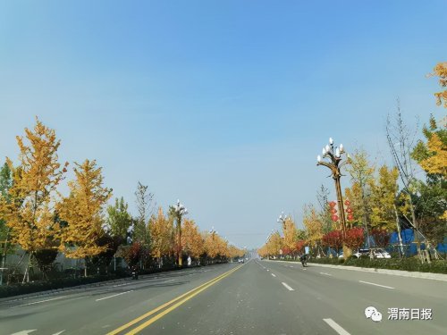 移步解放南路的郊野公園,依南塬而建,佔據渭南高點,沿著蜿蜒小路拾階