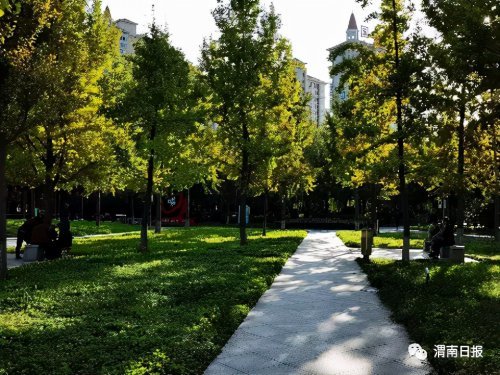 移步解放南路的郊野公園,依南塬而建,佔據渭南高點,沿著蜿蜒小路拾階