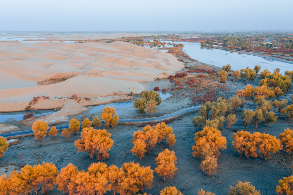 金色罗布泊行摄巴州尉犁罗布人村寨捕捉塔里木河湿地最美秋色