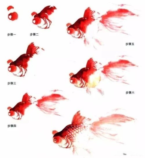 红色金鱼的画法步骤(点虱法)画鱼尾鳍的角度应有变化,形似蝴蝶,注意