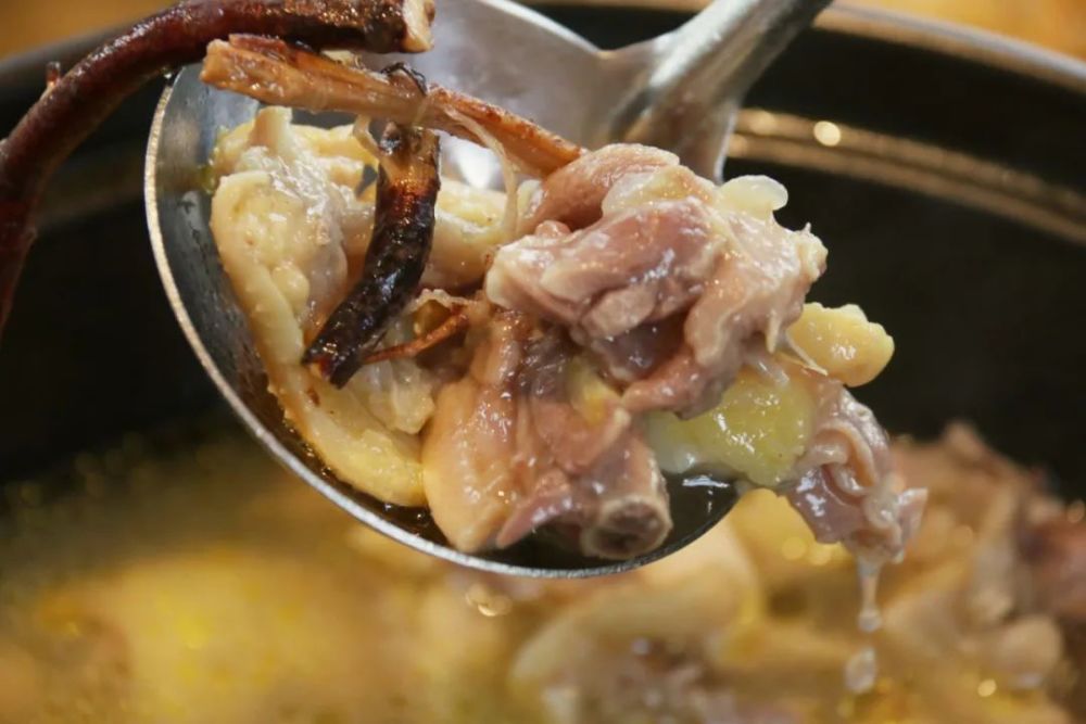 令人回味无穷!五指毛桃的芳香与丝丝椰香味用来"浸鸡"就刚刚好!