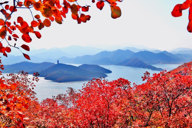 北京金海湖红叶映碧波 风景美如画