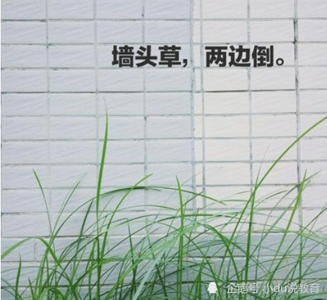 学生反思墙头草式学习害人不浅我要自主学习