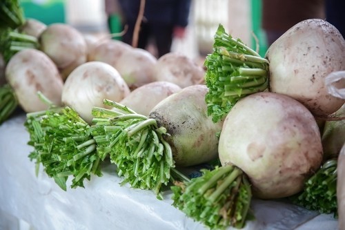 榜上有名大安区团结镇朝天村获评2021年中国美丽休闲乡村