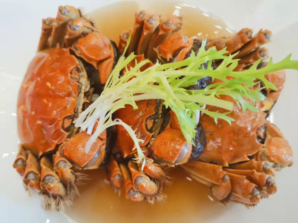 崇明探店探秘水杉森林深处美景美食ta都有