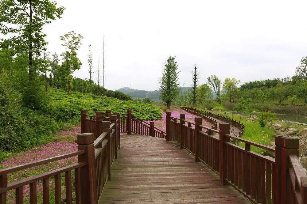 园林木栈道水陆之间尽显温润之美