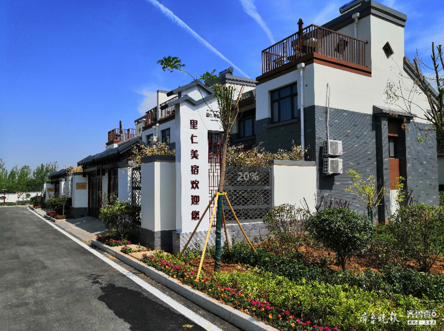 产业振兴,基础优化,曲阜尼山镇做好乡村振兴"大文章"