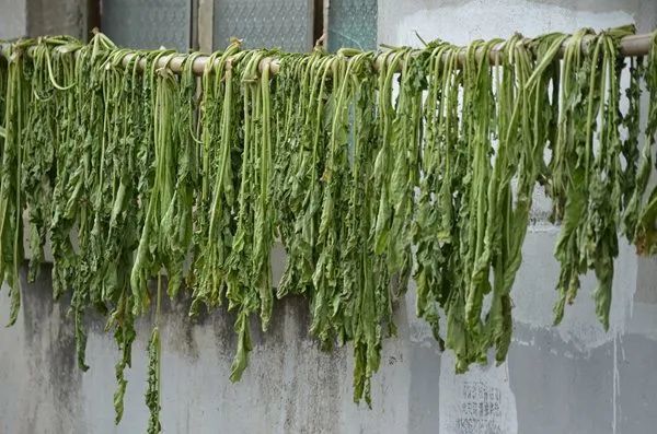 霜降过后腌菜成了老家农村一道靓丽的风景