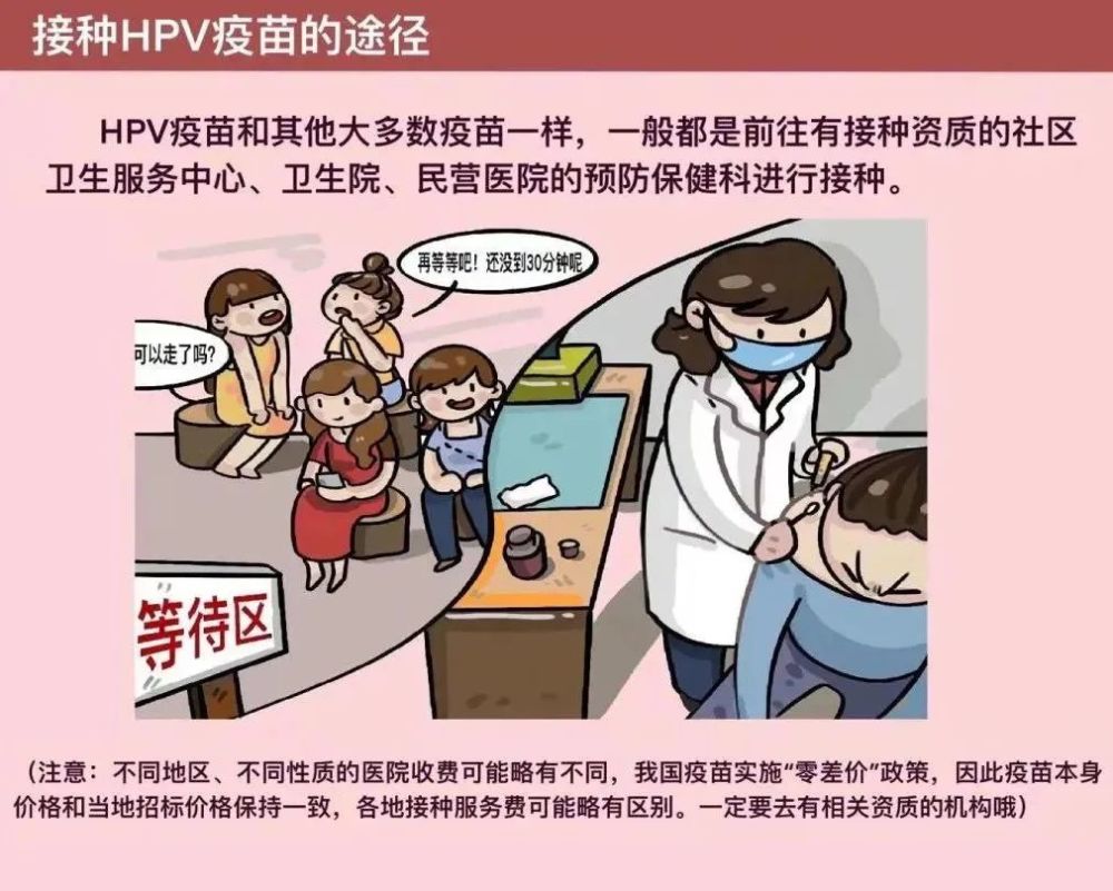 明年起,雷州这些女生可以免费接种hpv疫苗了!