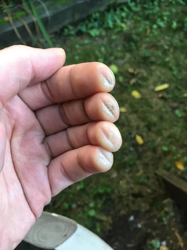 原来吉他拨片还是有用的.