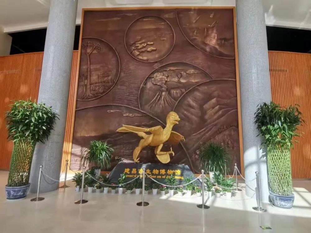 葫芦岛一古生物博物馆免费向社会开放!_腾讯新闻