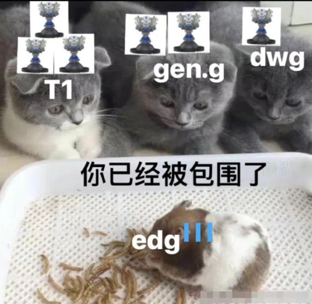 在让人失望方面edg从未让人失望夺冠希望渺茫可谓前途未卜