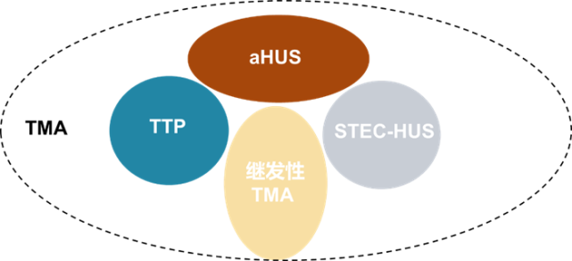 aHUS大咖会 丁洁教授：aHUS诊断要点_腾讯新闻